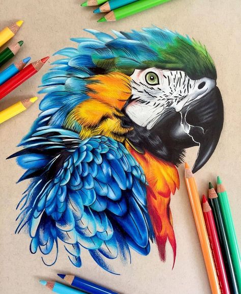 Coloured Pencil Animal Drawings, Colored Pencil Artwork Ideas Beautiful, Animal Realistic Drawing, Colorful Animal Drawings, Prismacolor Art Realistic, Color Pencil Art Drawings, Beautiful Butterfly Drawing, Realistic Drawings Colored Pencils, Drawing Ideas Color