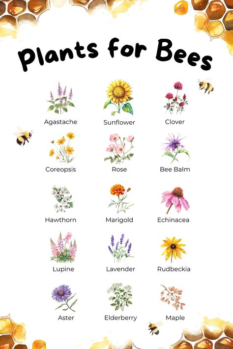 Poster of plants that support bees Pollinator Friendly Yard, Pollinator Friendly Garden, Best Flowers For Honey Bees, Bee Pollinator Garden, Best Garden Plants For Beginners, Sunflower Planting Ideas Gardens, How To Attract Bees To Your Garden, Bee Garden Ideas, Butterfly And Bee Garden