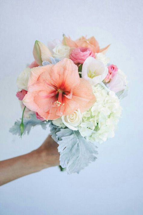 {A LOVELY Wedding Bouquet Made Up Of: Peach/Pastel Coral Amaryllis, Pink Ranunculus, White Tulips, White Roses, Light Pastel Green Hydrangea, & Broad Leaf Dusty Miller···················} Amaryllis Photography, Hibiscus Wedding, Bouquet Hydrangea, Tropical Wedding Bouquets, Tropical Bouquet, Nice Flowers, Pretty Bouquet, Pastel Bouquet, Tropical Wedding Flowers