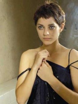 Marion Cotillard Marion Cotillard Hair, Breaking Hair, Audrey Tautou, Marion Cotillard, French Actress, Short Pixie Haircuts, French Women, Cut My Hair, Short Pixie