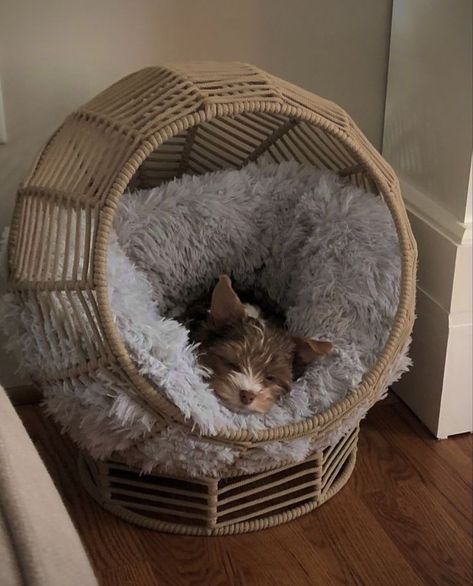 🐱Pet-Beds for your cats&dogs.🐶 They will love it🐾❤️. Make to order 5day making time. Delivey all Pakistan available Cat Love Aesthetic, Diy Cat Shelves, Cat Room Decor, Cat Climbing Wall, Pfp Cat, Cat Standing, Black Cat Aesthetic, Modern Cat Tree, Cat Pfp