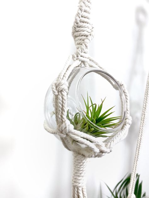 Excited to share my DIY air macrame plant hanger tutorial and pattern from my #etsy shop: Beginner DIY Macrame plant hanger pattern #macramediykit #planthangerkit #airplanthangerkit #airplanthanger Air Plant Macrame Hanger Diy, Macrame Air Plant Hanger Diy, Air Plant Hanger, Macrame Plant Hanger Tutorial, Macrame Plant Hanger Patterns, Macrame Planter, Glass Pot, Mini Terrarium, Makramee Diy