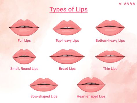 Types of Lips & how to care for them Different Lip Types, Lip Shapes Chart, Different Lips Types, Types Of Lips Shape, Different Lip Shapes, Lips Type, Shape Theory, Male Lips, Types Of Lips