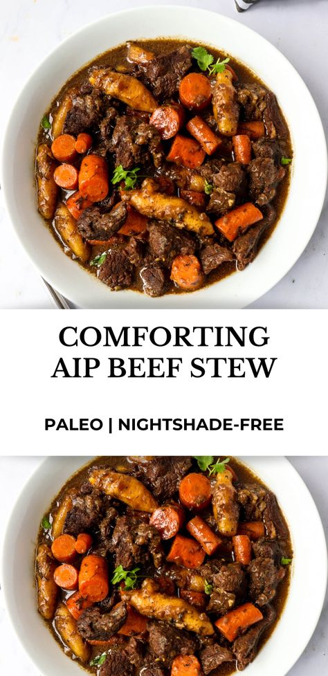 Aip Beef Chuck Roast, Aip Dinner Recipes Beef, Aip Beef Stew Instant Pot, Aip Beef Stir Fry, Aip Beef Stew Crockpot, Aip Shepards Pie, Wahls Paleo Plus Recipes, Paleo Recipes For Families, Aip Ground Beef Recipes Autoimmune Paleo