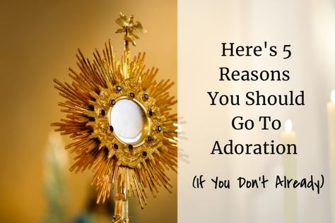 Eucharistic Adoration Quotes, Adoration Prayer, Catholic Confession, Adoration Catholic, Prayer Crafts, Catholic Gentleman, Eucharistic Miracle, Holy Hour, Prayer Of Praise