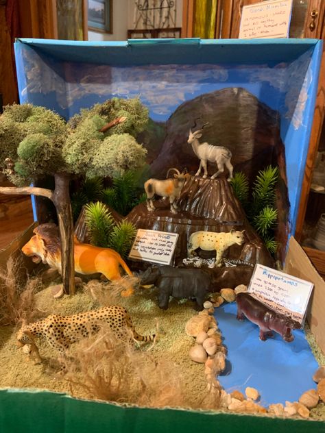 Savanna Diorama, Landforms Project, Ecosystems Diorama, Diaroma Ideas, Savanna Biome, Habitat Project, Biomes Project, Science Exhibition Projects, Diorama Kids