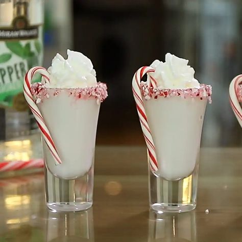 Peppermint Shots Holiday Drinks, Peppermint Shot Glasses, Peppermint Schnapps Shots, Christmas Shots Alcohol, Christmas Dessert Drinks, Peppermint Cocktail, Mini Drinks, Xmas Packaging, Drink Image