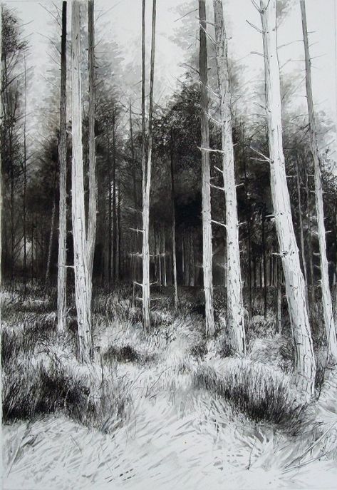 "Entrance", ink drawing of a forest by Mark Lippett.  #trees #forest #inkdrawing #blackandwhite Drawing Of A Forest, Pencil Drawings Of Nature, Pencil Drawings Of Love, Forest Sketch, Croquis Drawing, Forest Drawing, Pencil Drawings Of Girls, Tree Drawings Pencil, Pencil Drawings Of Animals