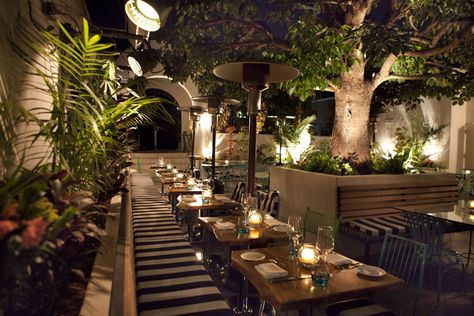 Lights under the tree in back corner of pool area Outdoor Restaurant Seating, Outdoor Restaurant Patio, Resto Bar, Restaurant Outdoor, Cafe Decoration, Outdoor Restaurant Design, Cafe Seating, Terrace Restaurant, Restaurant Patio