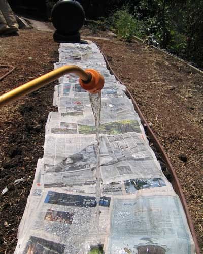 Pallet Gardening, Lasagna Gardening, Raised Vegetable Gardens, Dig Gardens, Vegetable Garden Raised Beds, Building A Raised Garden, Garden Steps, Front Yard Landscaping Simple, Tomato Garden