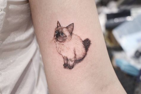 Ragdoll kitten Ragdoll Cat Tattoo, Persian Cat Tattoo, Siamese Cat Tattoos, Energy Tattoo, Kitten Tattoo, Cat Tattoo Simple, Cute Cat Tattoo, Cat Tattoo Small, Cat Tat