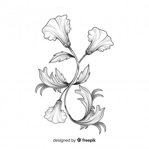 Hand drawn baroque flowers Free Vector Botanical Art Nouveau, Baroque Flower Tattoo, Baroque Tattoo Design, Baroque Illustration, Old Botanical Illustration, Baroque Drawing, Vintage Flower Drawing, European Flowers, Baroque Tattoo