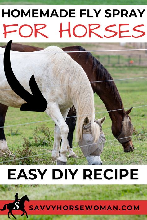 Diy Fly Spray For Livestock, Fly Spray For Cattle, Horse Fly Spray Recipe Homemade, Natural Fly Spray For Horses, Homemade Fly Spray For Horses, Horse Fly Spray Recipe, Diy Horse Fly Spray, Horsefly Repellent, Horse Fly Repellent