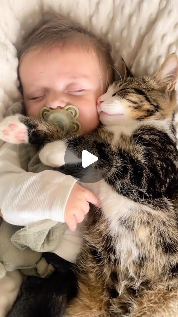 Meowing Cats 🐈 on Instagram: "Best friend 😻🐾 • To : [ 👉🏻 @miyavlikedicikler ] Via : [ 📹 justinedcss - TikTok ] • 🛒 MIYAVEE PET SHOP ~ link in bio • • ~Contact for advertisement ~" Kitten And Cat, Kittens Cutest Fluffy, Cute Cats And Kittens Pictures, Cat Cuddles Human, Baby Kitten Videos, Cute Kitten Videos, Cats And Kittens Videos, Cats And Babies, Cats Meowing