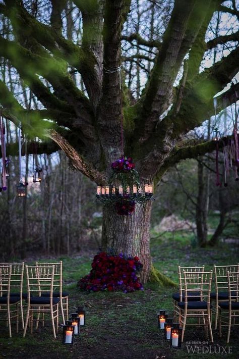 red purple and black halloween wedding ceremony decor / http://www.himisspuff.com/halloween-wedding-ideas/2/ Gothic Wedding Theme, Witch Wedding, Pagan Wedding, Halloween Themed Wedding, Wedding Ceremony Ideas, Viking Wedding, Lighting Plan, Goth Wedding, Dark Wedding