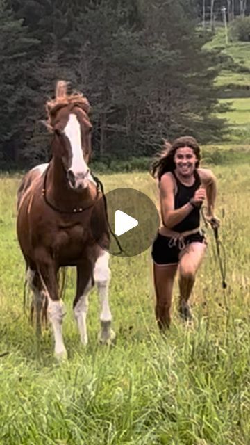 Wild Horse Videos, Rare Horse Colors, Horses Videos, Cowboy And Horse, Friends Videos, Classic Country Songs, Horse Images, Horse Dance, Funny Horse Videos