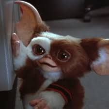 Gizmo the Mogwai cute!!!!!!!!!!! Gremlins Art, Gizmo Gremlins, Pisces Moon, Arte Horror, Gremlins, Cute Creatures, Really Funny Pictures, Old Movies, Movie Characters