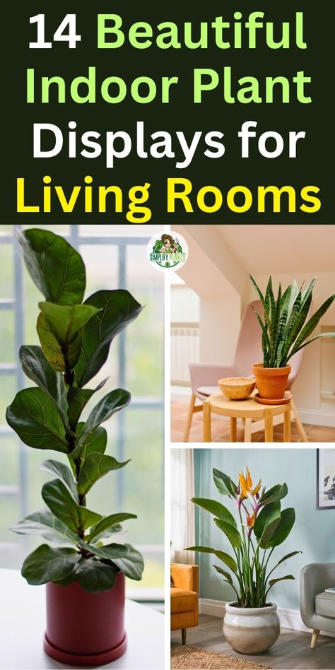 "Discover 14 beautiful indoor plant displays that will elevate your living 
room decor! From tall living room plants to stylish houseplant 
arrangements, these ideas showcase the best plants for living room 
aesthetics. Transform your space with vibrant living room houseplants and 
creative houseplant decor that brings life and freshness into your home. 
Explore how to incorporate houseplants in your living room for a stunning 
and inviting atmosphere!" Where To Put Plants In House Living Room, Plant Stand Ideas Indoor Living Rooms, Living Room With Plants Aesthetic, Arranging House Plants Living Rooms, Tall Houseplants Indoor, Arranging Plants In Living Room, Reading Nook With Plants, Using Plants To Decorate Indoors, Snake Plants Indoor