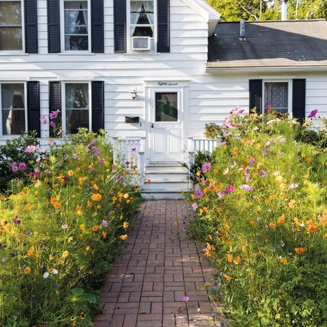 American Meadows, Meadow Garden, Garden Wallpaper, Cottage Style Decor, Wildflower Garden, Small Space Gardening, Wildflower Seeds, Garden Cottage, Growing Flowers