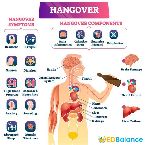 Hangover Headache, Hangover Symptoms, Liver Failure, Increase Heart Rate, Healthy Teas, Daily Health Tips, Brain Damage, Healthy Pregnancy, Acupressure