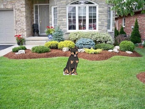 Low Maintenance Landscape, Low Maintenance Landscaping Front Yard, Budget Landscaping, Trees For Front Yard, Front Yards Curb Appeal, Pathway Landscaping, Small Front Yard Landscaping, Farmhouse Landscaping, Front Yard Design