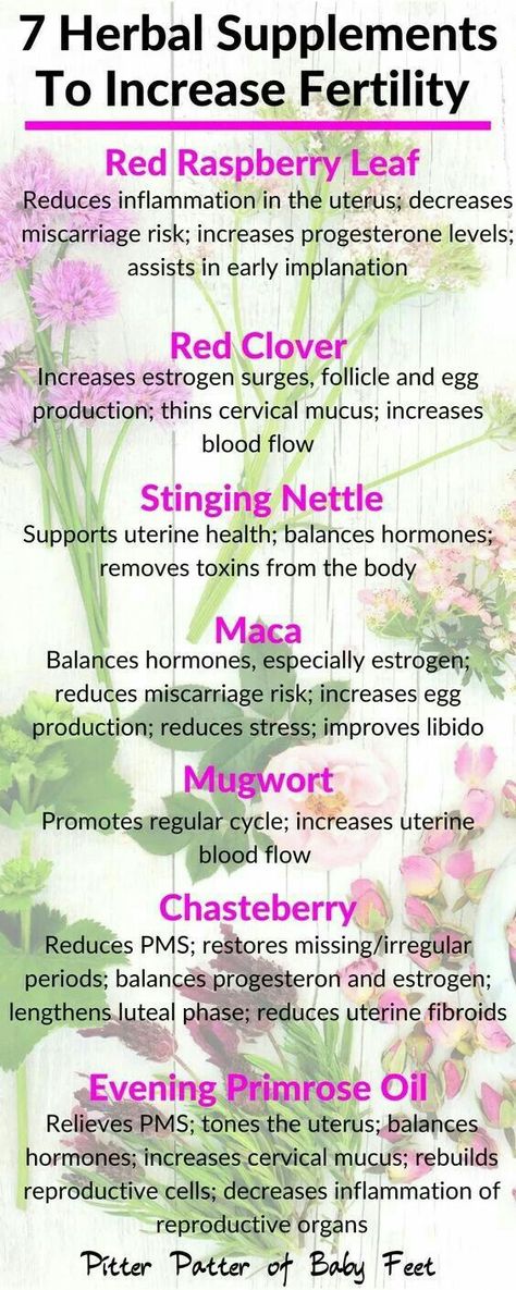 Herbs For Fertility, Increase Progesterone, Fertility Vitamins, Trouble Getting Pregnant, Fertility Nutrition, Increase Fertility, Fertility Supplements, Boost Fertility, Womb Healing