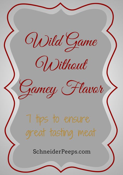 SchneiderPeeps - Wild Game Without Gamey Flavor is easy to achieve with these 7 tips. Health Food Recipes, Wild Recipes, Roast Brisket, Meat Curing, Roast Chicken And Gravy, Health And Food, Beef Tenderloin Roast, Homemade Liquor, Wild Pig