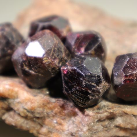 Raw Almandine Garnet Crystals on a chunk of schist/phyllite we collected in Canada at Quesnel Lake.  Garnet acts on the Root Chakra to manifest creative ideas into the physical reality.  ⁠ ⁠ #garnet #rawgarnet #almandinegarnet #crystals #minerals #specimens #gemstones #rawgemstones #birthstones #januarybirthstone #red #burgundy #maroon  https://www.etsy.com/shop/DoodlepunkArt?search_query=garnet Raw Garnet, Soldered Pendants, Rough Gems, Almandine Garnet, Garnet Crystal, Quartz Geode, Crystal Healing Stones, Crystal Dangle Earrings, Comfort And Joy