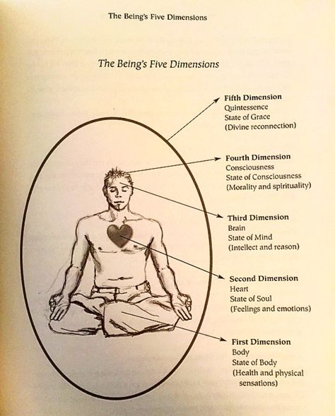 Excerpts from Welcome to the Fifth Dimension: The Quintessence of Being, the Ascended Masters’ Ultimate Secret 1. The physical body, occupied with ensuring survival, applies itself to getting… The Fifth Dimension, Ancestral Healing, Spiritual Religion, Fifth Dimension, Channeling Energy, State Of Grace, Ascended Masters, Souls Journey, States Of Consciousness