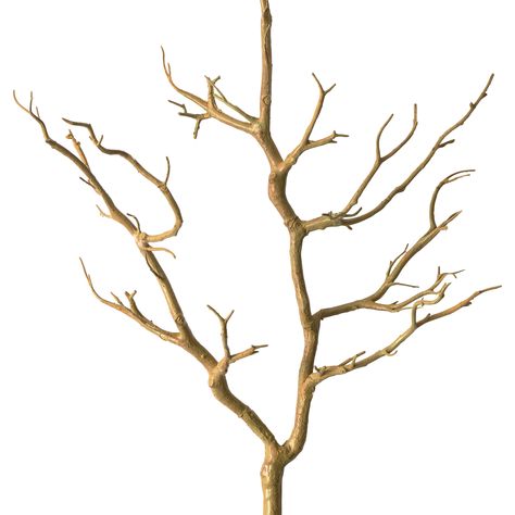 3ft. Bare Birch Branch by Ashland® Wood Branch Decor, Tree Branch Centerpieces, Eiffel Tower Vases, Branch Centerpieces, Vase With Branches, Tree Branch Decor, Rama Seca, Faux Branches, Birch Branches