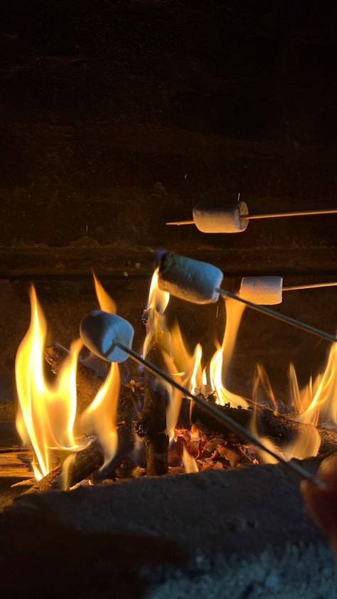 #marshmello #sweet #evening #night #life #lifestyle #friends #aesthetic #recipe #fashion Marshmello Aesthetic, Roasting Marshmallows, Zach Bryan, Doodle On Photo, Friends Aesthetic, Fall 2024, Art Class, Night Life, The Outsiders