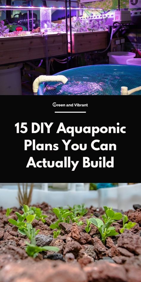 15 DIY Aquaponic Plans You Can Actually Build Aquaponics Greenhouse, Backyard Aquaponics, Aquaponics Fish, Aquaponics Diy, Hydroponics Diy, Aquaponic Gardening, Aquaponics System, Fish Farming, Growing Fruit