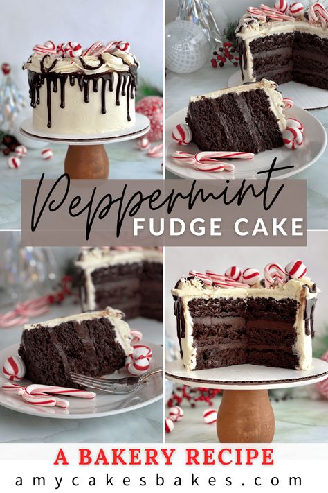 This peppermint chocolate cake combines layers of super moist and rich chocolate cake with fudgy chocolate peppermint ganache and creamy peppermint buttercream. At Amycakes Bakery, Peppermint Fudge Cake was the most popular seasonal cake flavor--the perfect holiday cake! White Chocolate Peppermint Frosting, Peppermint Ganache Recipe, Peppermint Fudge Cake, Popular Cakes 2023, Christmas Cakes Chocolate, Chocolate Cake With Peppermint Frosting, Dark Chocolate Peppermint Cake, Chocolate Peppermint Cake Recipe, Peppermint Patty Cake