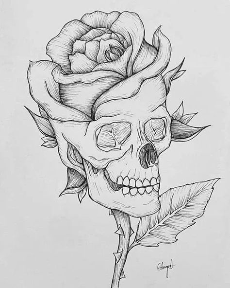 Draw A Skull With Roses Bilik Perempuan, رسم كاريكاتير, Rose Skull, Skull Art Drawing, Meaningful Drawings, Hiasan Bilik, Skull Illustration, Easy Drawings Sketches, Tattoo Art Drawings