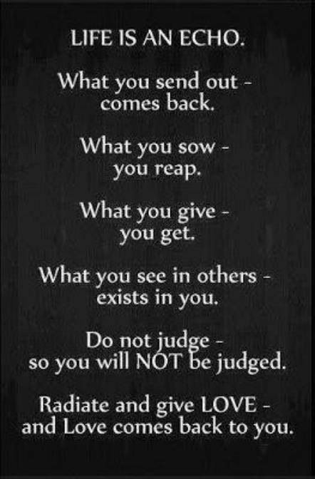 You get what you give quote Life Is An Echo, Nasihat Yang Baik, Inspirerende Ord, Fina Ord, Quote Of The Week, Lesson Quotes, Life Lesson Quotes, Quotable Quotes, Good Advice