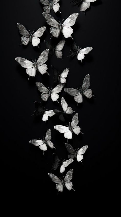 Photography of flying butterflies black monochrome white. | premium image by rawpixel.com / Aew Black Butterflies Aesthetic, Black Butterfly Wallpaper, Iphone Wallpaper Butterfly, Dark Academia Background, Butterfly Phone Wallpaper, Phone Wallpaper Black, Vibes Background, Wallpaper Butterfly, Flying Butterflies