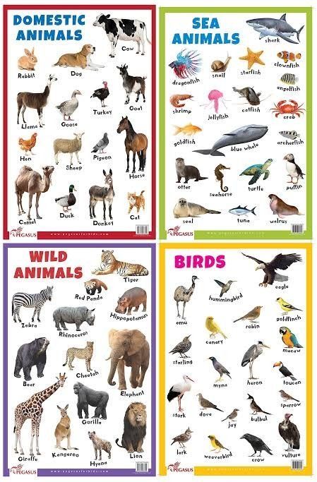 Animals Chart Free Printable, Animal Chart For Kids, Pet Animals Chart, Sources Of Water For Kids Chart, Birds Name List, Animals Chart, Ocean Poem, Animal Chart, Preschool Poems