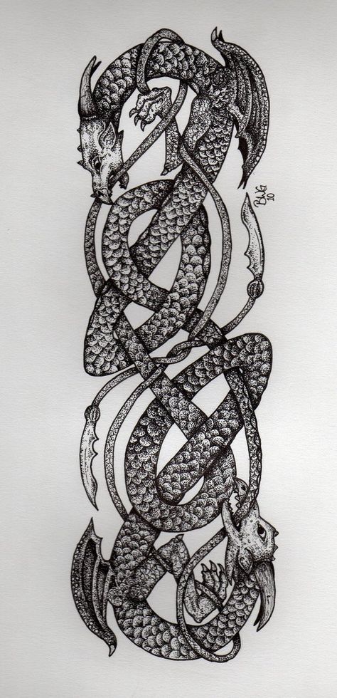 celtic knot dragons by GrayWolfcg.deviantart.com on @DeviantArt Dragon Border Design, Celtic Pictures, Celtic Warrior Tattoos, Knot Weaving, Celtic Knot Dragon, Celtic Sleeve Tattoos, Dragon Celtic, Viking Knotwork, Dragon Tattoo Drawing