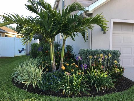 Grasses For Landscaping Curb Appeal, North Florida Landscaping Ideas Front Yards, Tropical Landscaping Front Yard Florida Garden Ideas, Florida Xeriscape, Florida Landscaping Ideas, Florida Plants Landscaping, Tropical Backyard Landscaping, Landscape Aesthetic, Tropical Landscape Design