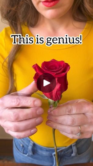 64K views · 2.3K reactions | Genius Flower Hacks that actually work! 💐  Tips and Tricks the professionals use to make blooms more beautiful, last longer and save money! #flowers #florist #floraldesign #spring #tipsandtricks | Jeff & Lauren Flower Hacks, Store Bought Flowers Tips, How To Keep Flowers Alive Longer, How To Keep Roses Alive Longer Vase, Keep Flowers Fresh Longer Vase, Florist Tips And Tricks Floral Arrangements, Easy Flower Arrangements Diy, Flower Mechanics, Fake Flower Arrangements Diy