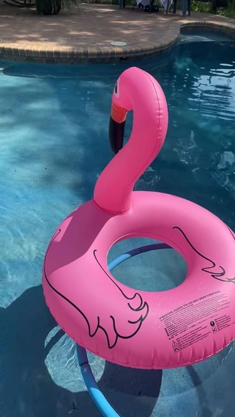 Check out this video Fun Float, Biig For Lesss! from Florida Trends Flamingo Float, Amazon Top, Invite Your Friends, Baby Care, Things To Buy, Memorial Day, Flamingo, Float, Beauty And Personal Care