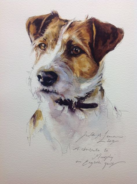 Jack Russell Sketch, Dog Watercolor Painting, Portraits Pop Art, Watercolor Dog Portrait, Desen Realist, 강아지 그림, Canine Art, Jack Russel, 수채화 그림