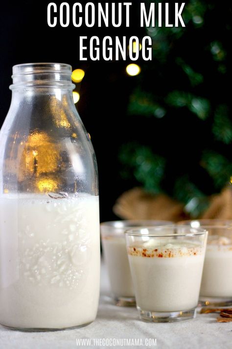 Coconut milk eggnog is easy to make and takes 6 ingredients! This recipe offers both vegan and keto options! Eggnog Pudding, Coconut Eggnog, Homemade Coconut Milk, Thm Drinks, Flavored Waters, Recipe Folder, Homemade Eggnog, Keto Drinks, Healthy Holiday Recipes