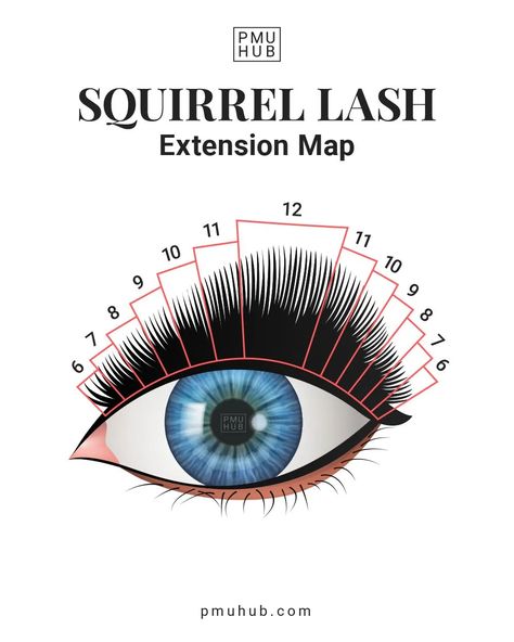 Squirrel Lash Extensions Map, Squirrel Eyelash Mapping, Squirrel Eyelash Extensions, Squirrel Lash Extensions, Lash Extension Map, Lashes Mapping, Natural Looking Eyelash Extensions, Natural Lash Growth, Types Of Eyelash Extensions