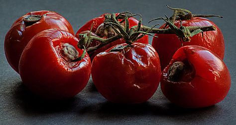 Green Bean and Cherry Tomato Salad Recipe - Chowhound Cherry Tomato Salad, Tomato Salad Recipes, Panzanella Salad, Green Beans And Tomatoes, Summer Salad Recipes, Rotten Tomatoes, Tomato Salad, Healthy Summer, Red Wine Vinegar