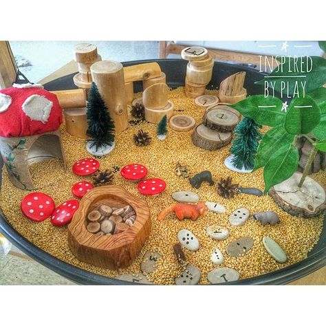 Our youngest learners have spent many hours playing with this woodland forest small world play sensory tray. What's more than natural materials and loose parts for open-ended play lies an opportunity to think more deeply about literacy and numeracy. Www.inspiredbyplay.wordpress.com/woodland-forest-small-world-play-math-and-literacy-embedded-in-play #tldsblearns #teachersofinstagram #teachersfollowteachers #looseparts #reggioinspired Sensory Tray, Role Play Areas, Play Math, Literacy And Numeracy, The Gruffalo, Tuff Tray, Sensory Table, Invitation To Play, Messy Play