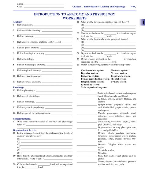 College Anatomy and Physiology Worksheets Anatomy And Physiology Printables, Anatomy Worksheets Printables, College Anatomy And Physiology Notes, Anatomy And Physiology Study Printables, Anatomy And Physiology Worksheets, Anatomy And Physiology Study, Anatomy Worksheets, Studying Anatomy, Number Words Worksheets