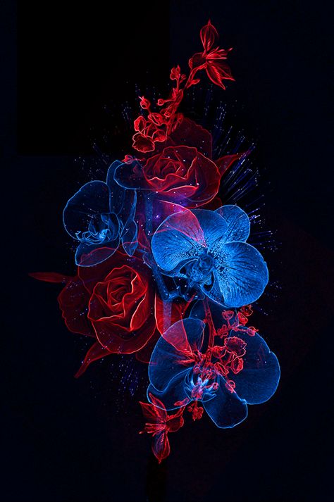 FANTASMAGORIK® BOTANIK II on Behance Blue Roses Wallpaper, Shocking Blue, Tattoo Skull, Purple Flowers Wallpaper, Amoled Wallpapers, Art Fractal, Music Tattoo, Seni Cat Air, Beautiful Flowers Wallpapers