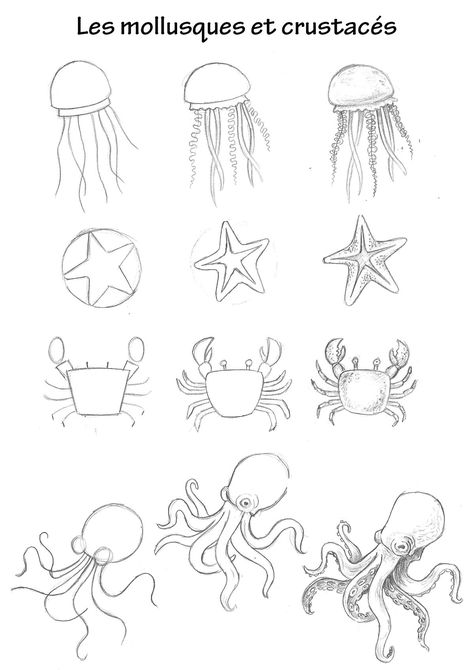 Marine Animal Drawings Easy, Under The Sea Animals Drawings, Jelly Fish Drawing Easy Step By Step, Underwater Animals Drawing Easy, Easy Under The Sea Drawings, Easy Fish Drawing Step By Step, How To Draw Marine Animals, Ocean Animals Drawing Easy, Sea Creatures Drawing Ocean