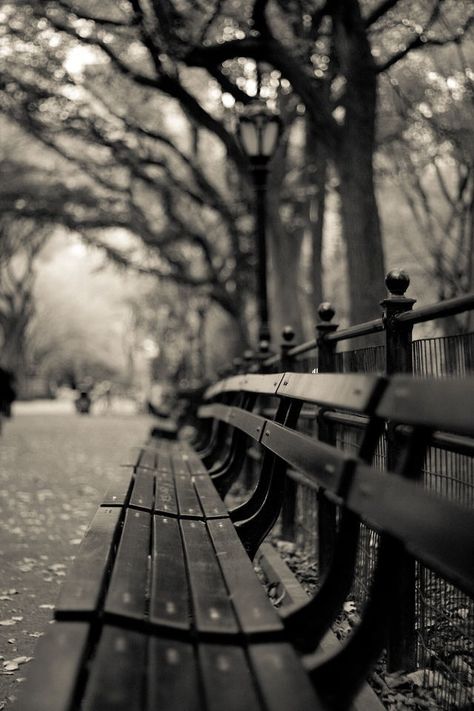 Brain Frequency, Central Park Bench, My Love Photo, Street Photography Urban, Acoustic Guitar Photography, Park Benches, Hope Photography, City Photography, Black White Photos